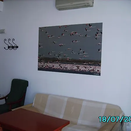 Pinos