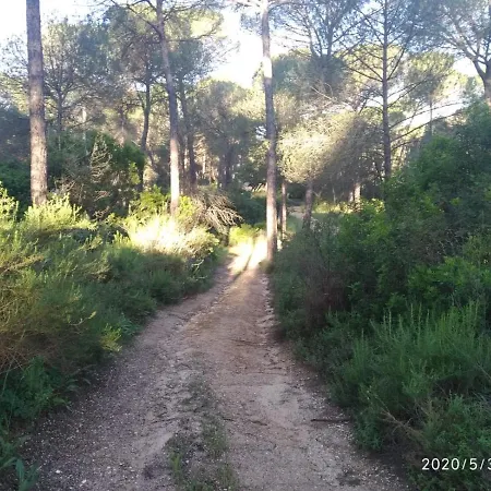 Pinos منزل ريفي